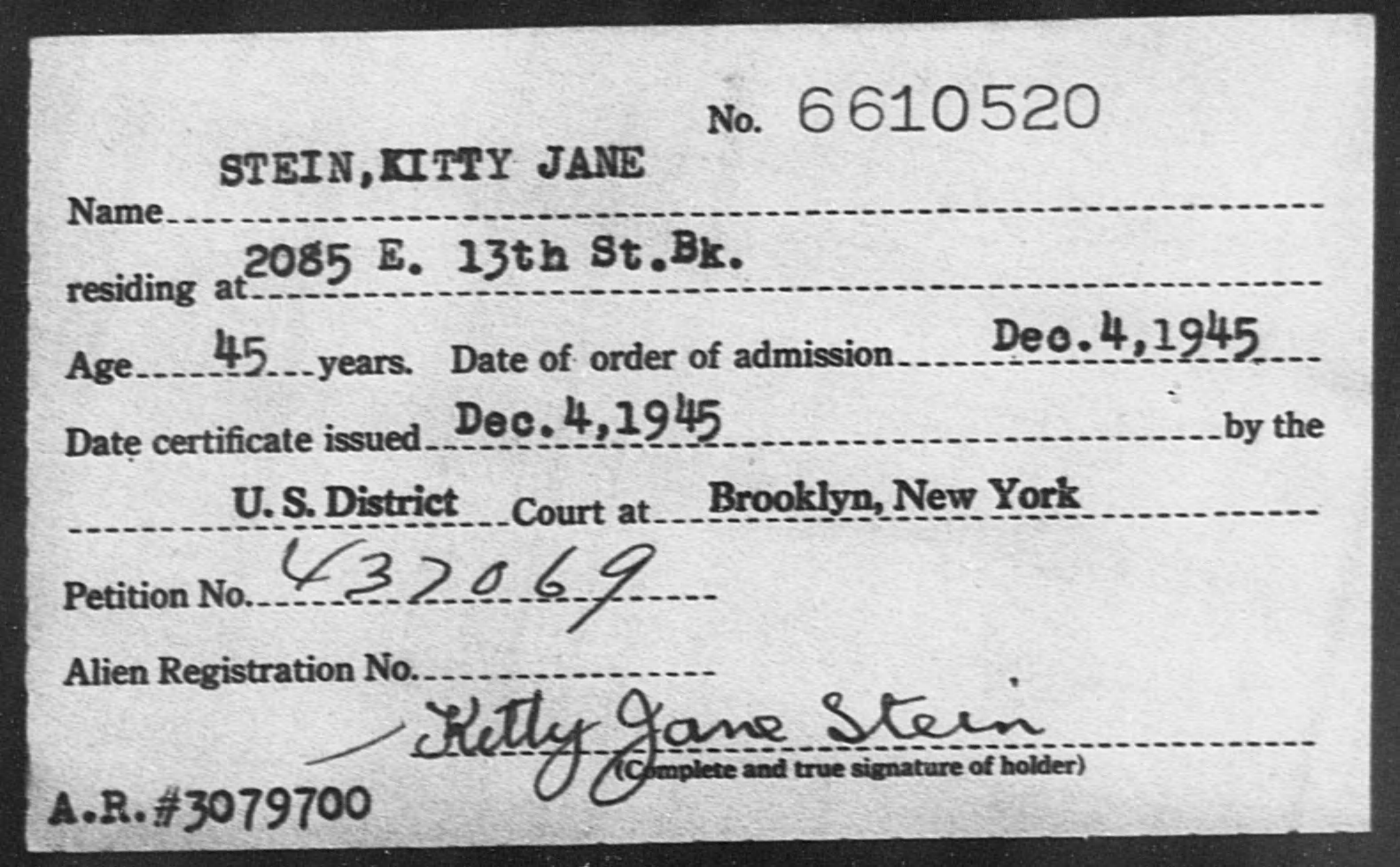 Kitty Jane